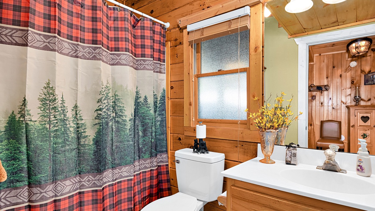 Photo of Bathroom in Maggie Valley