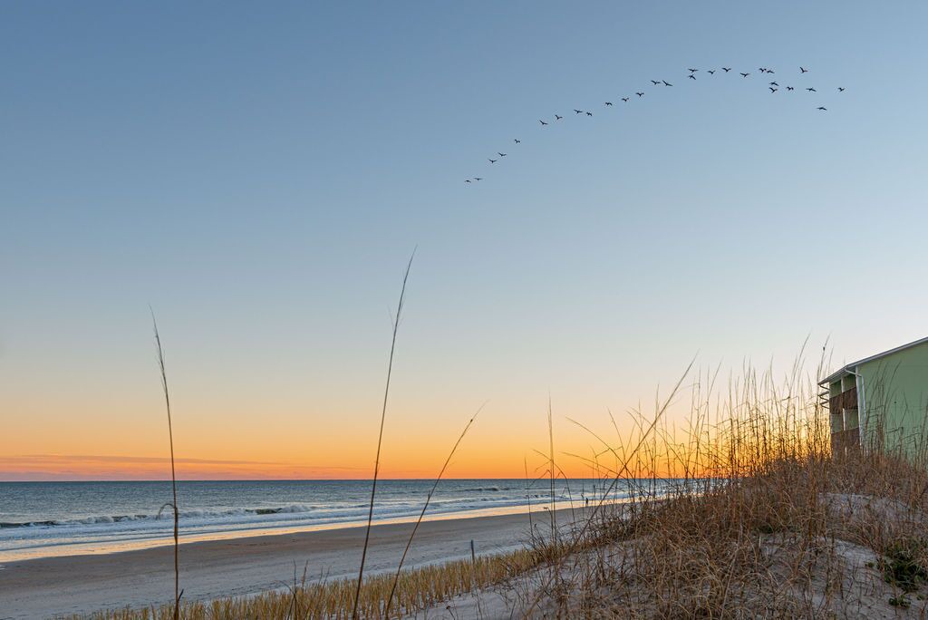 Photo of Others in Surf City