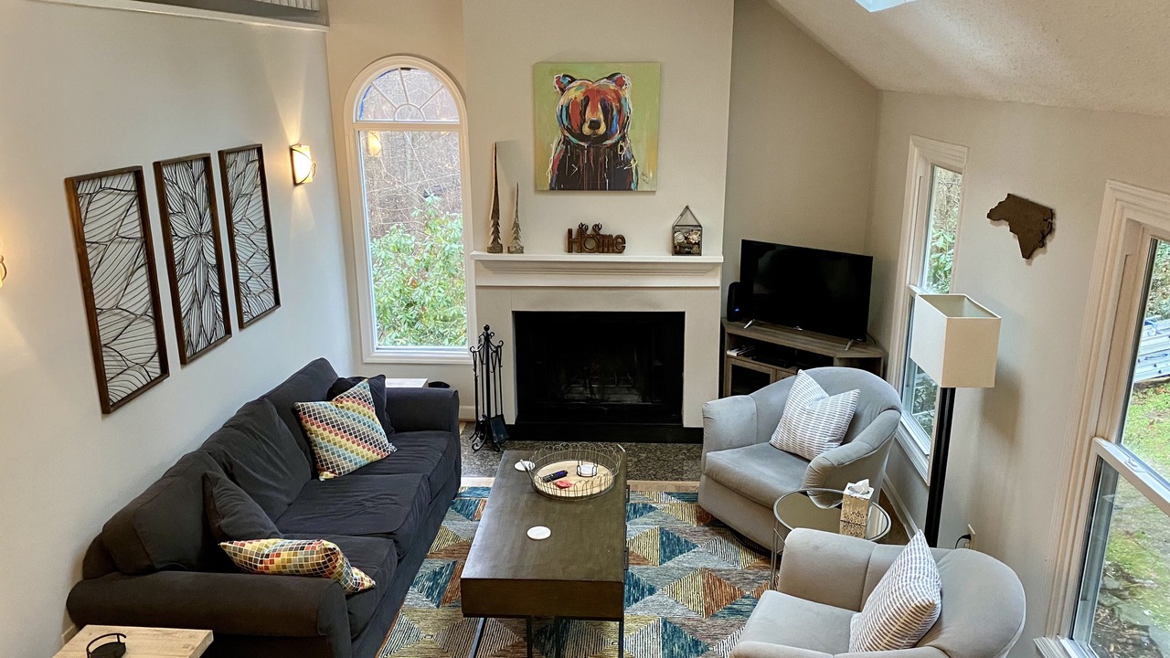 Photo of Livingroom in Asheville