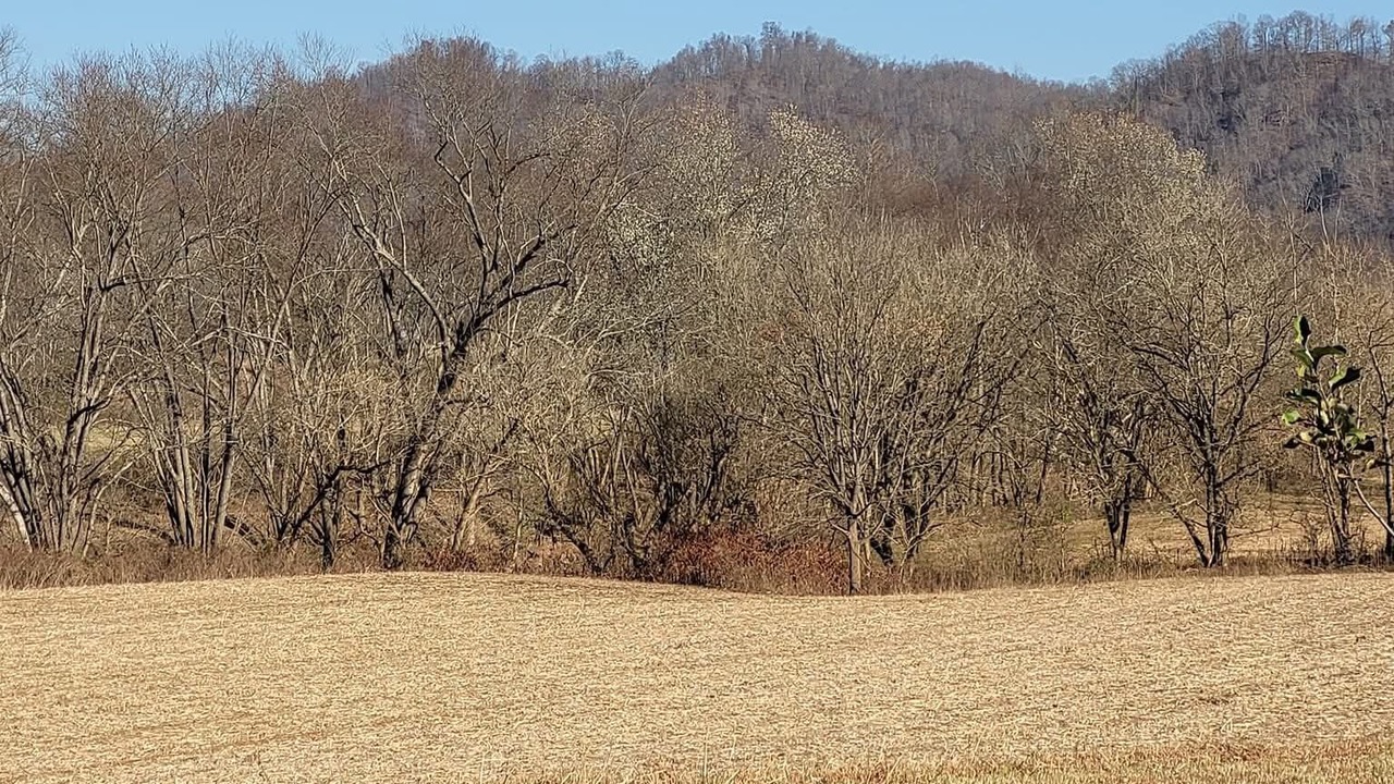 Photo of Others in Booneville
