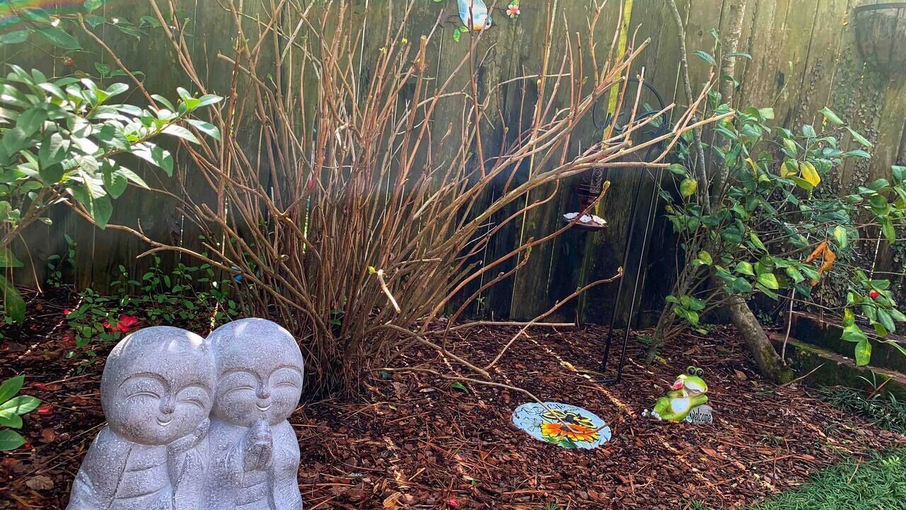 Photo of Outdoor in Wilmington
