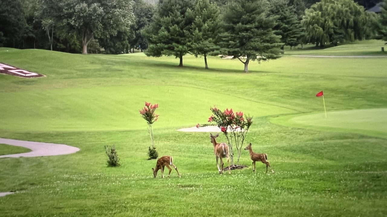Photo of Others in Bronston