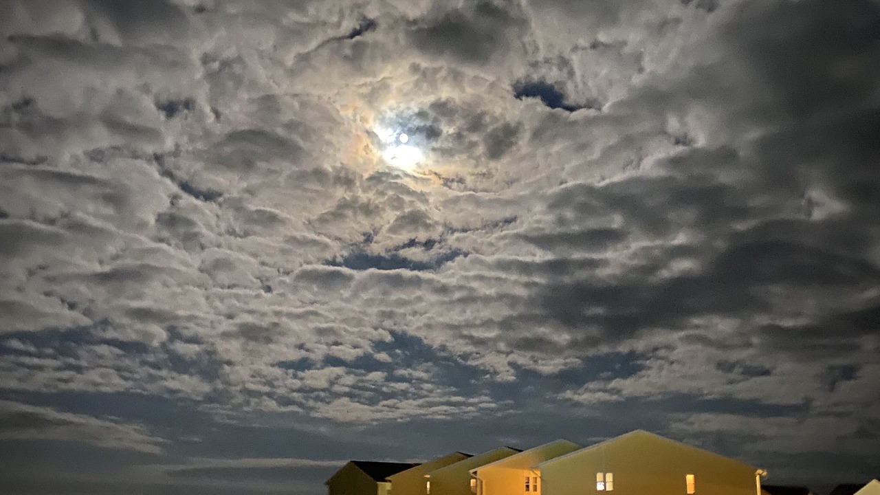 Photo of Others in Surf City