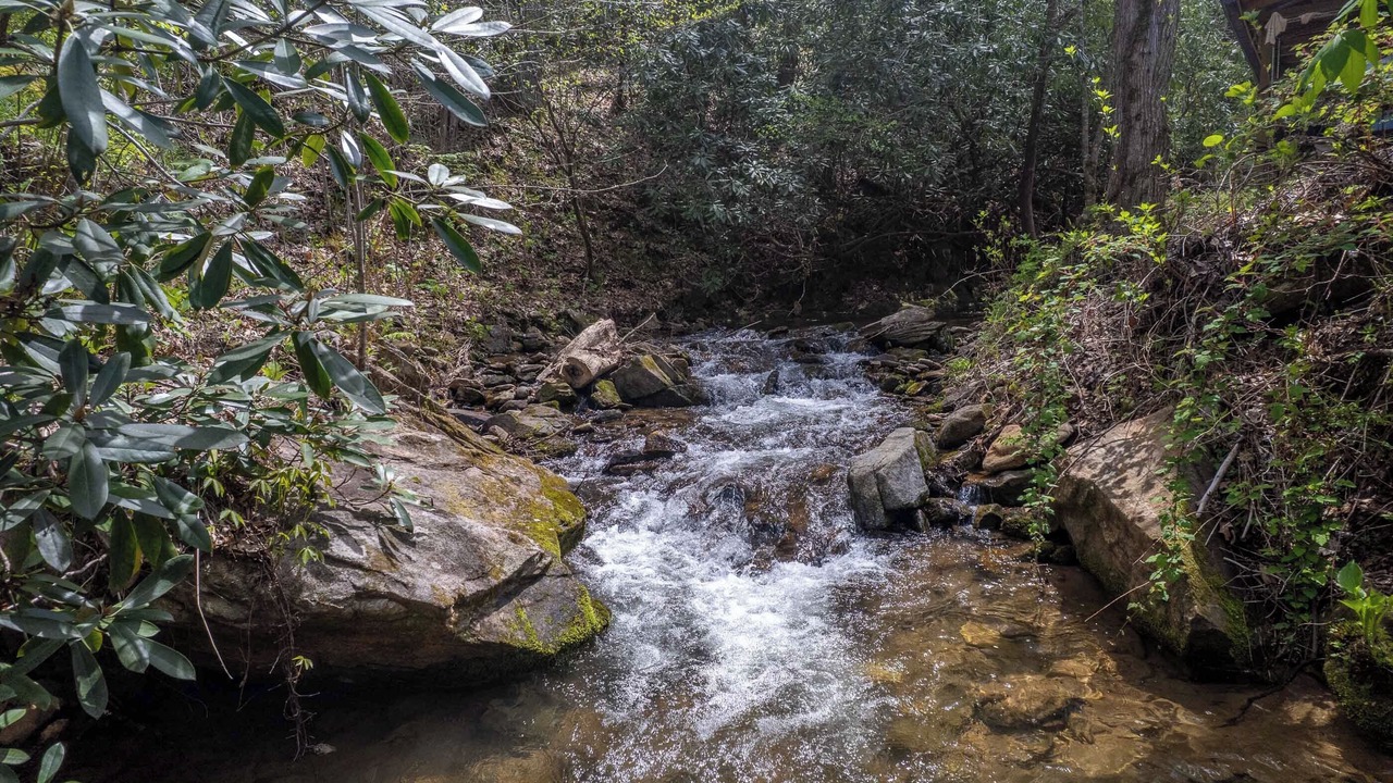 Photo of Others in Cullowhee