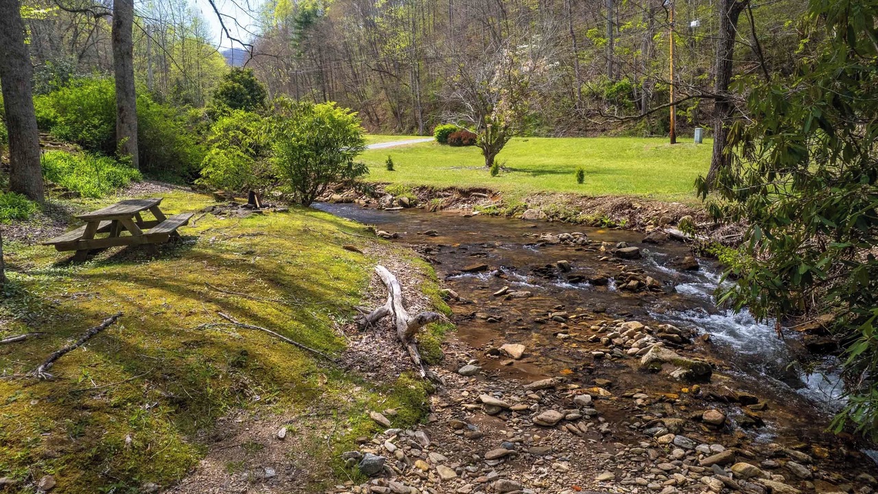 Photo of Others in Cullowhee