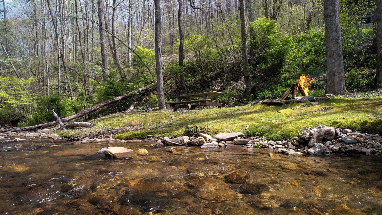 Photo of Others in Cullowhee