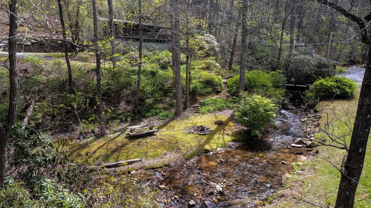 Photo of Others in Cullowhee