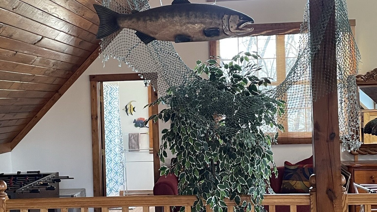 Photo of Others in Big Creek