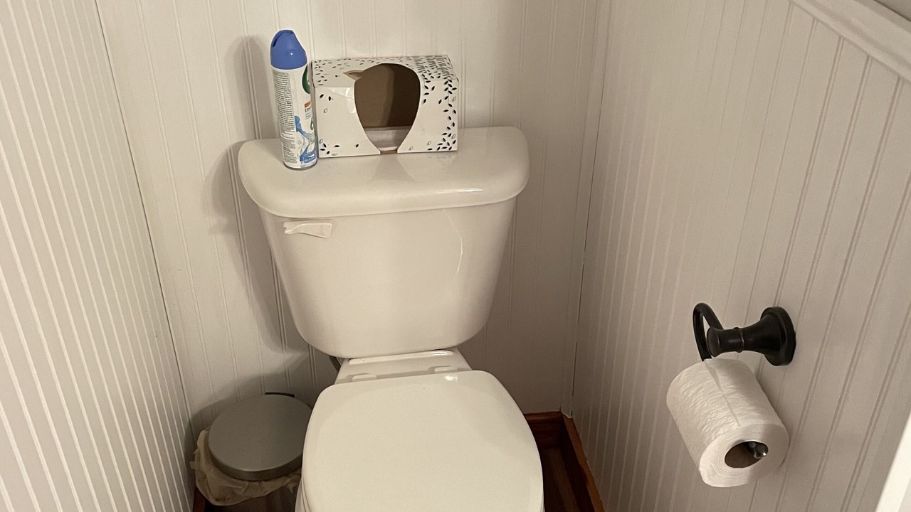 Photo of Bathroom in Wellington