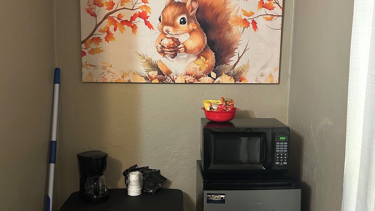Photo of Others in Aurora