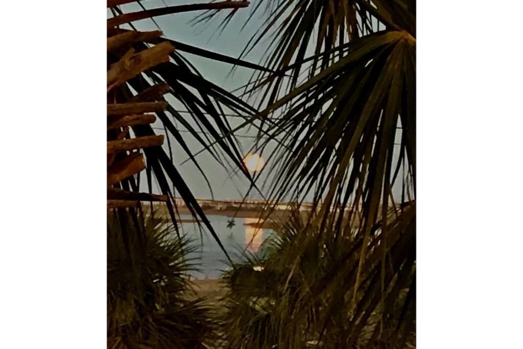 Photo of Patio Balcony in Airlie