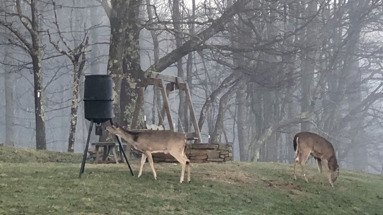Photo of Others in Burnsville