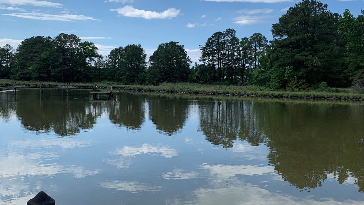 Photo of Outdoor in Sharps
