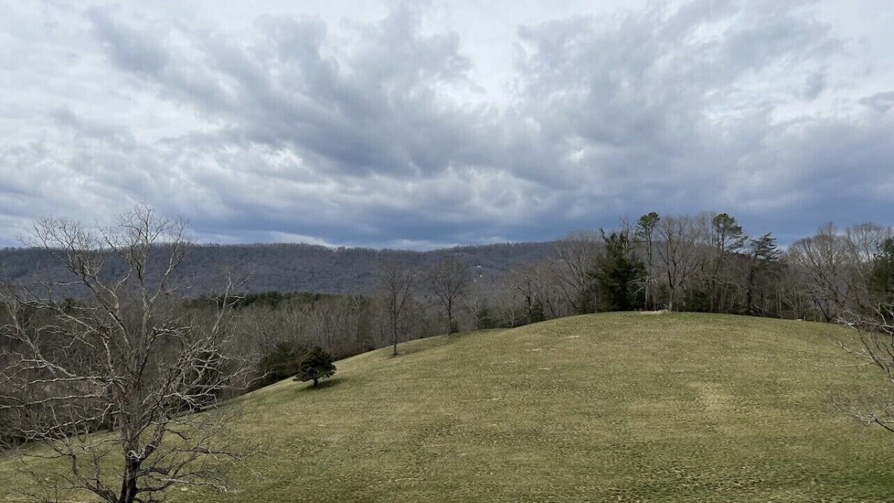Photo of Others in Mills River