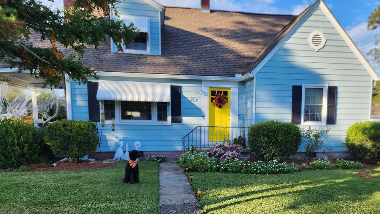 Photo of Outdoor in Morehead City