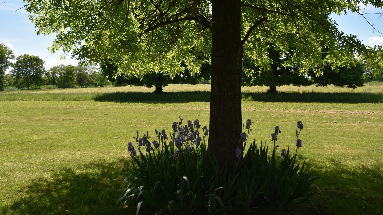 Photo of Outdoor in Versailles