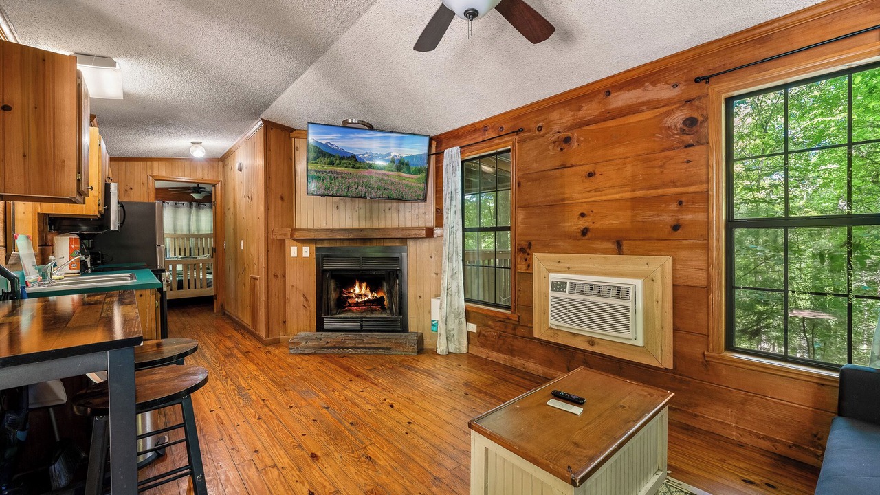 Photo of Livingroom in Smoky Mountains