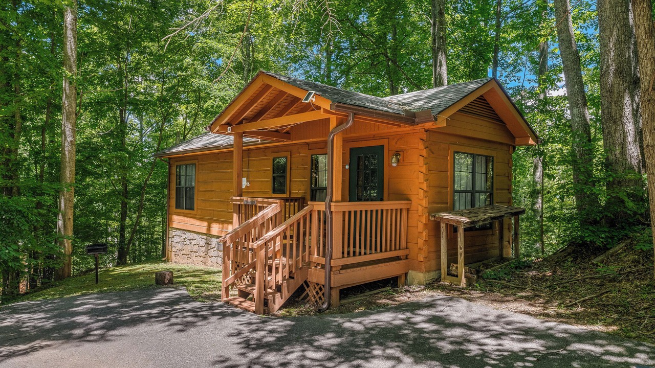 Photo of Others in Smoky Mountains