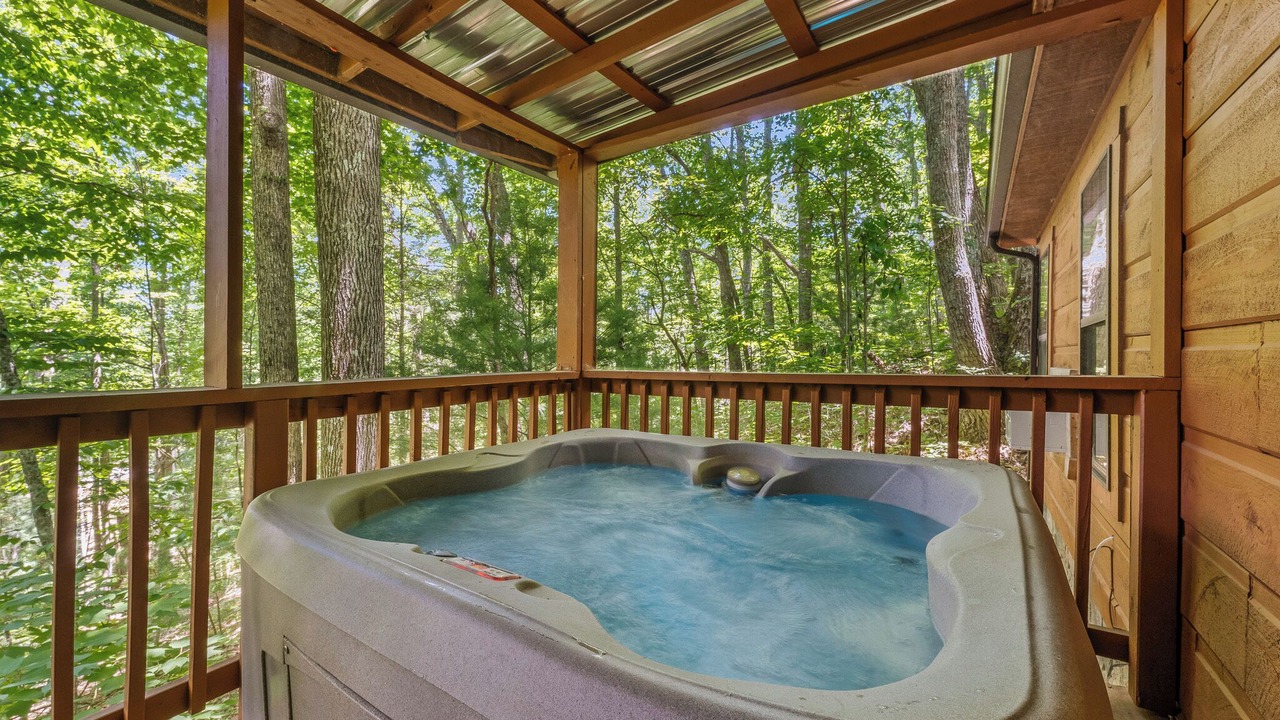 Photo of Outdoor in Smoky Mountains