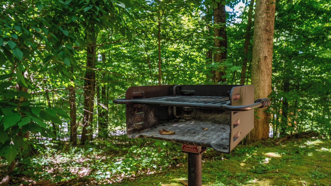 Photo of Outdoor in Smoky Mountains