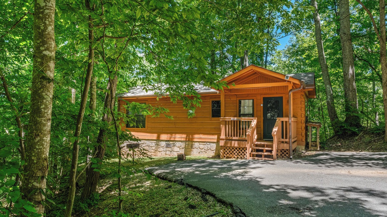 Photo of Others in Smoky Mountains