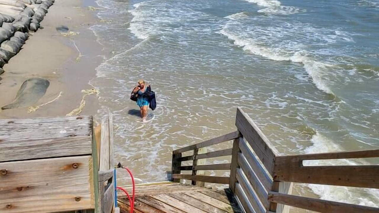 Photo of Others in Sneads Ferry