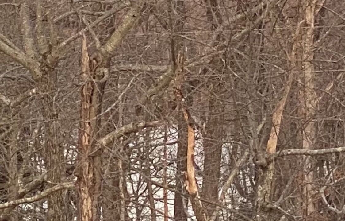 Photo of Outdoor in Falls of Rough