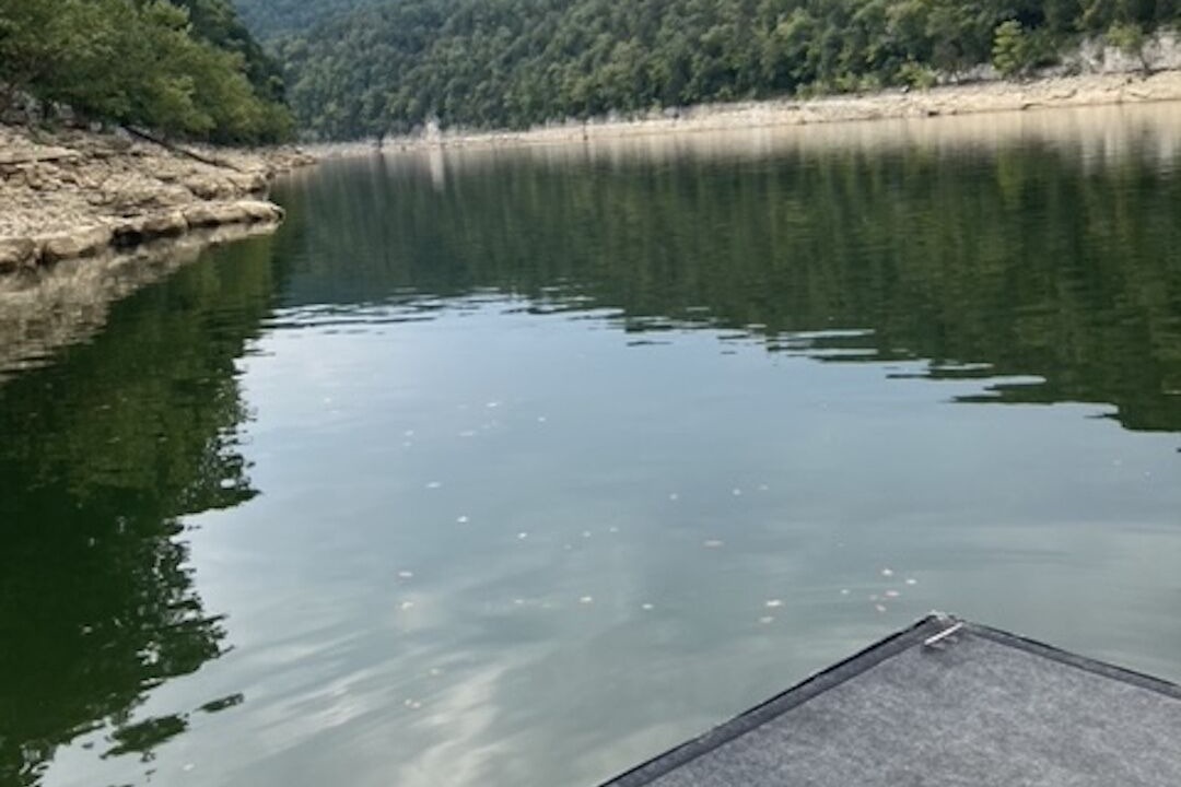 Photo of Others in Sloans Valley