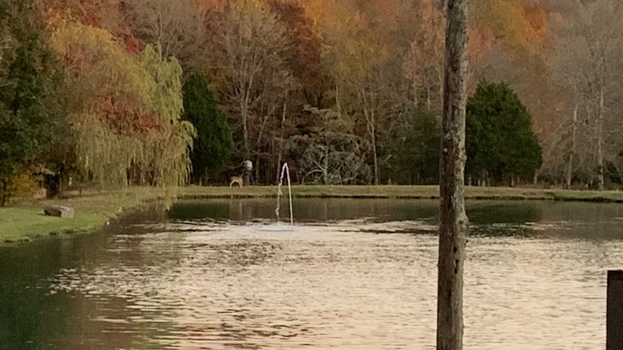 Photo of Outdoor in Livingston