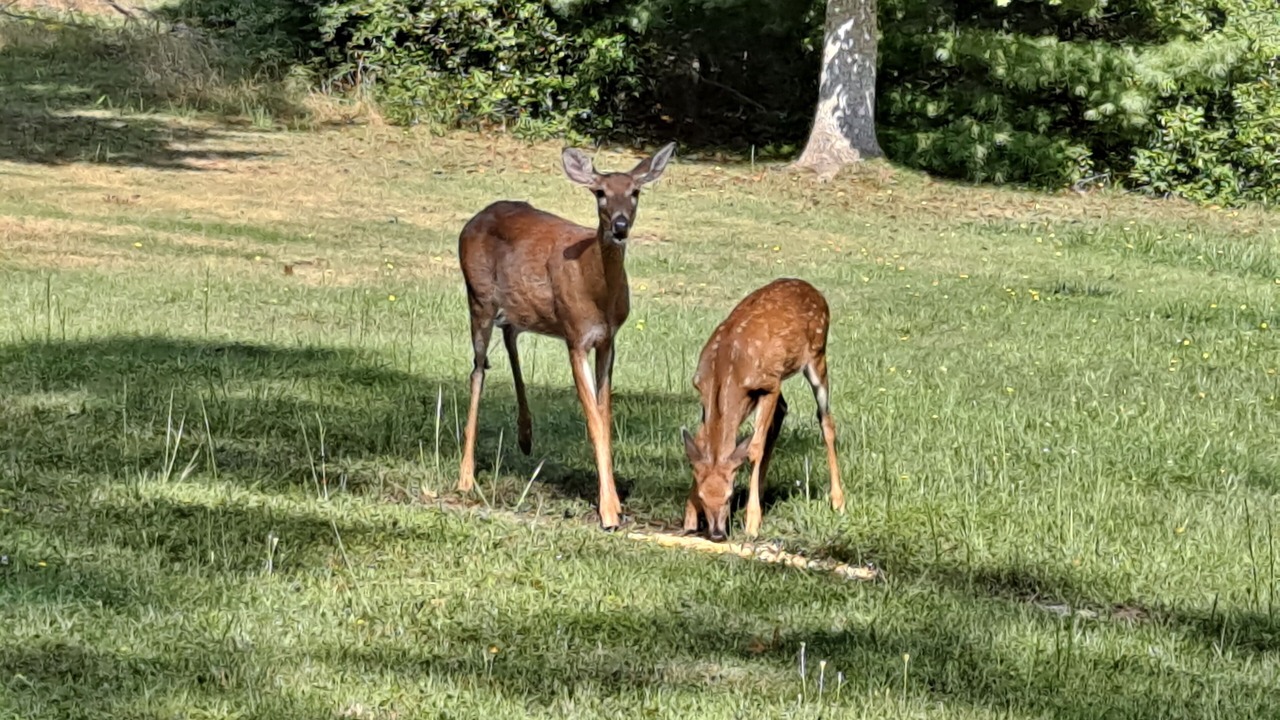 Photo of Outdoor in Lerona