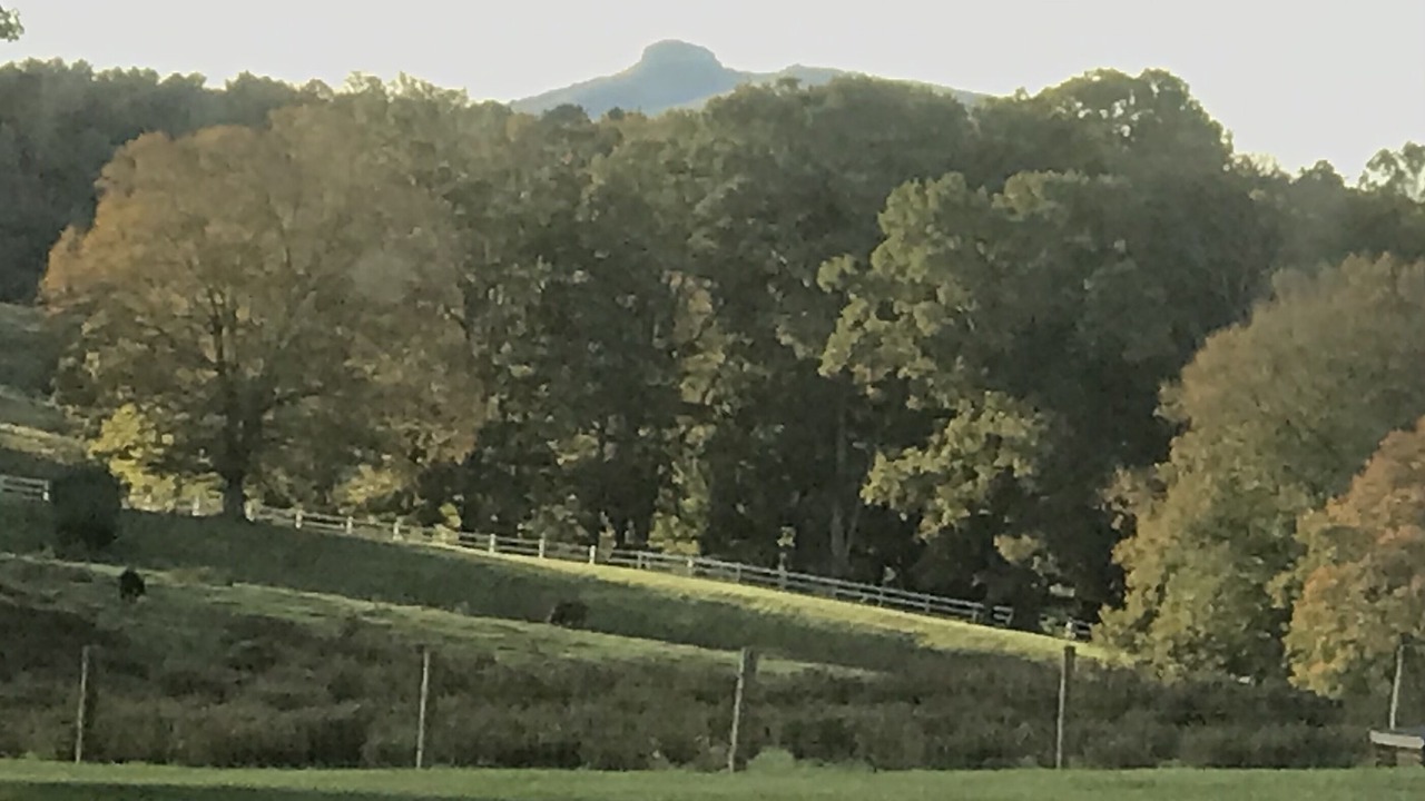 Photo of Outdoor in Mount Airy