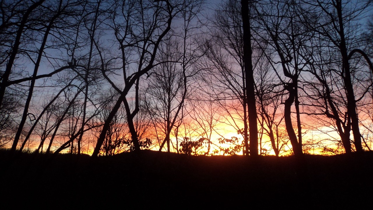 Photo of Outdoor in Brevard