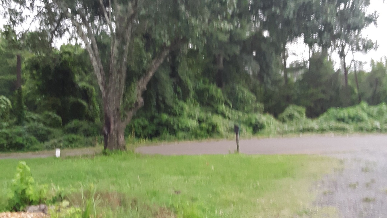 Photo of Outdoor in Wildwood