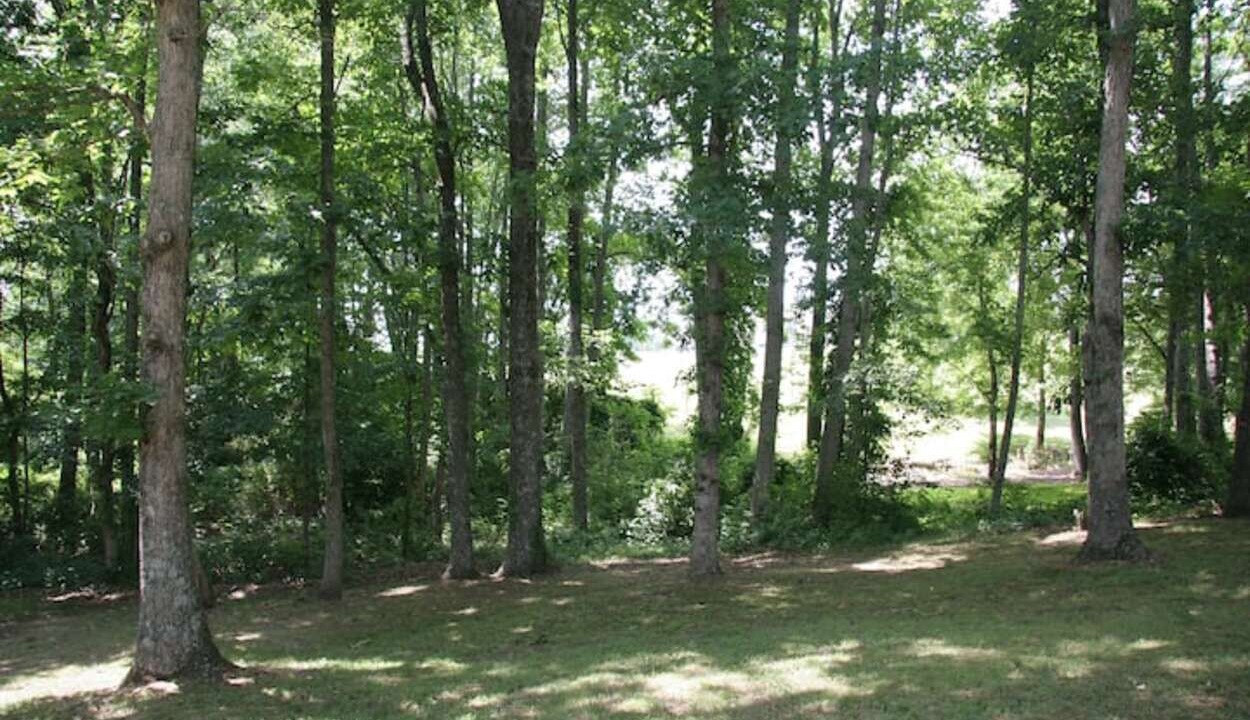 Photo of Outdoor in Crossville
