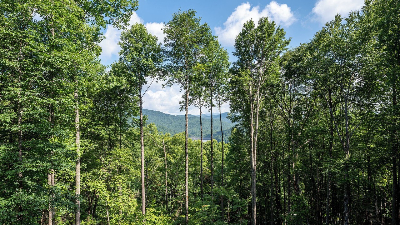 Photo of Outdoor in Topton