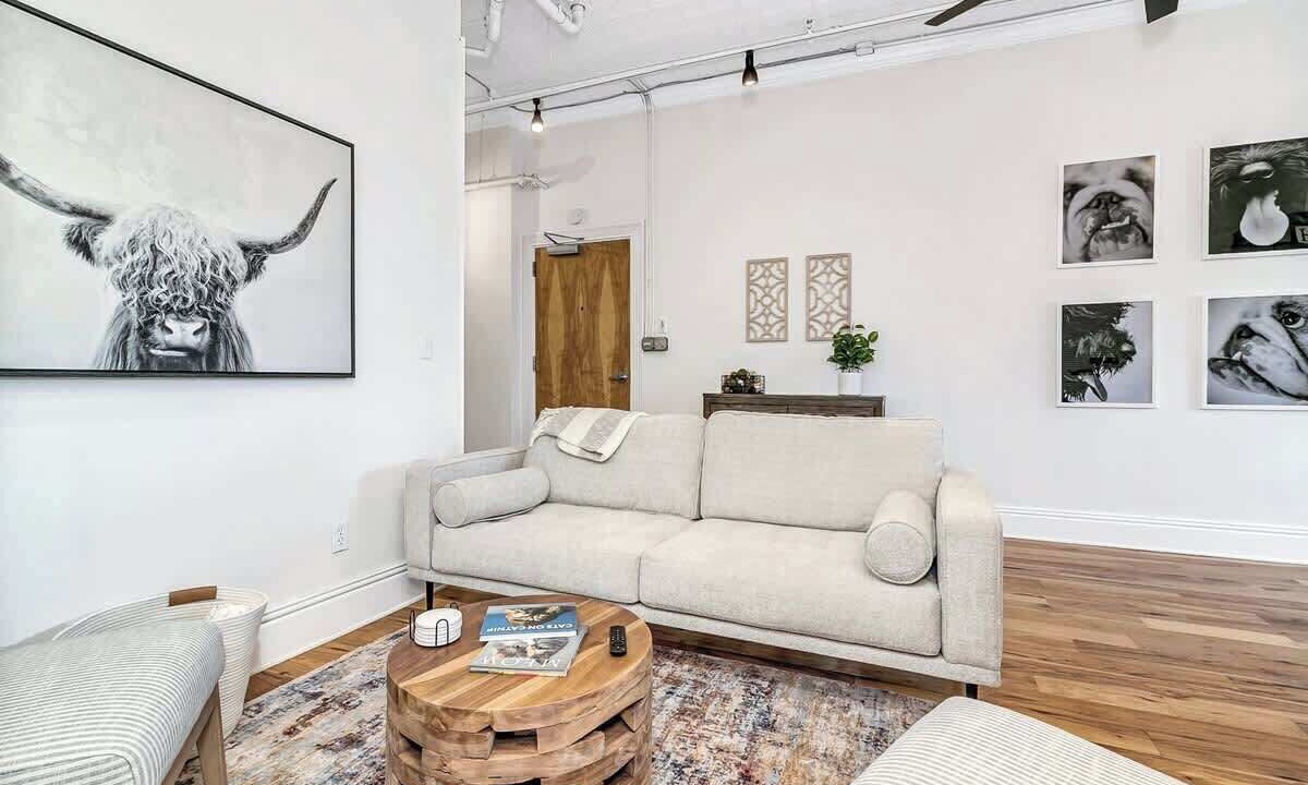 Photo of Livingroom in Downtown Asheville