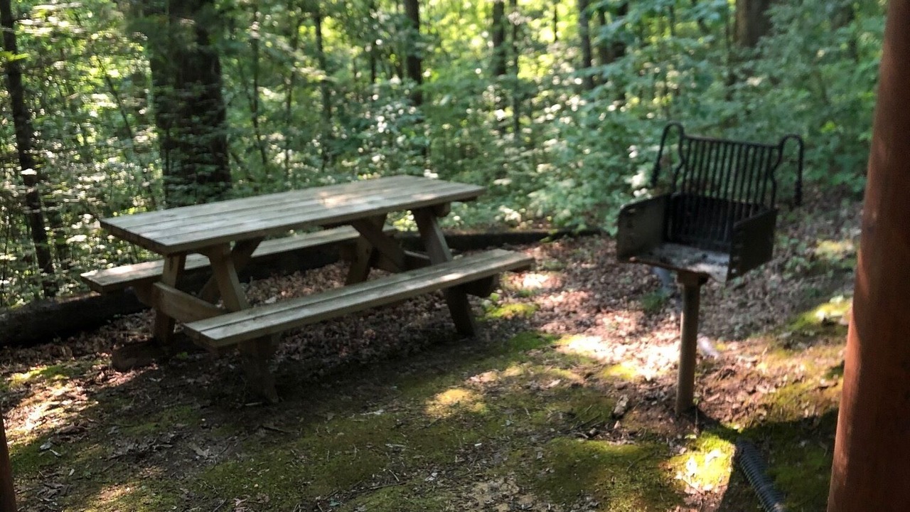 Photo of Outdoor in Oneida
