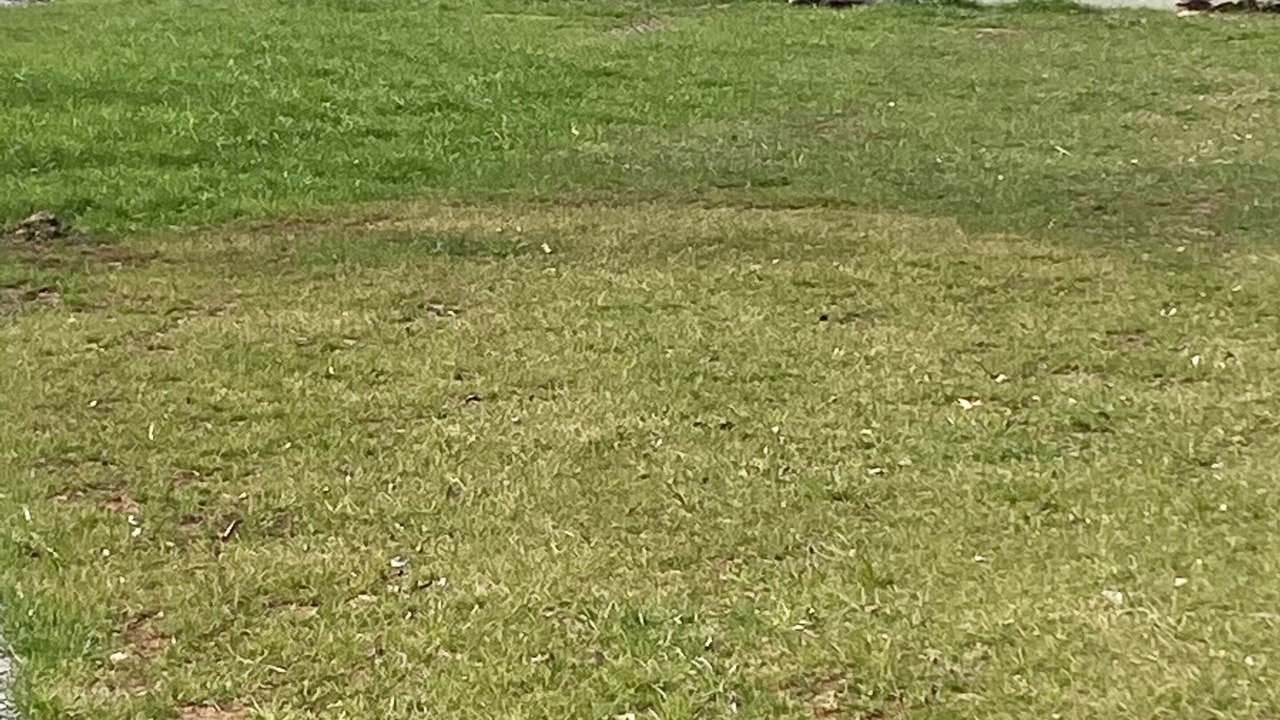 Photo of Others in Scottsboro