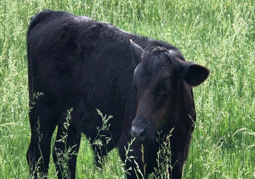 Photo of Outdoor in Denton