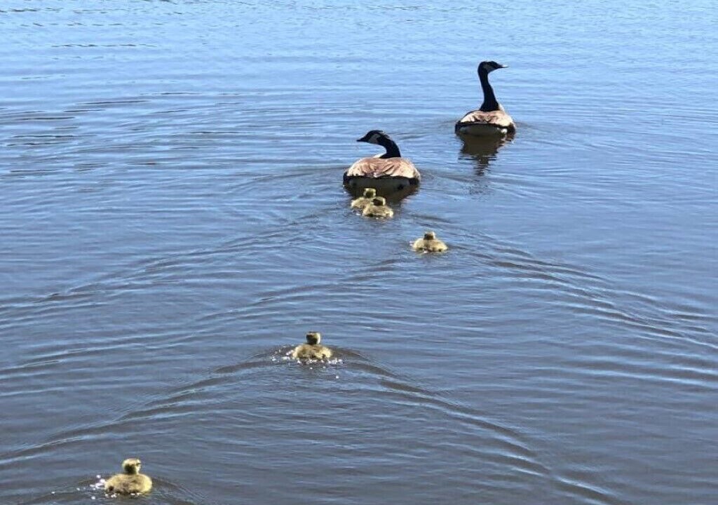 Photo of Outdoor in Denton