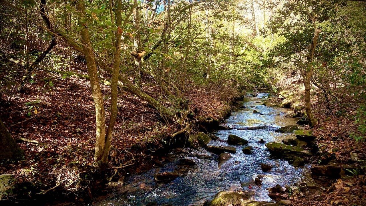 Photo of Others in Fort Payne