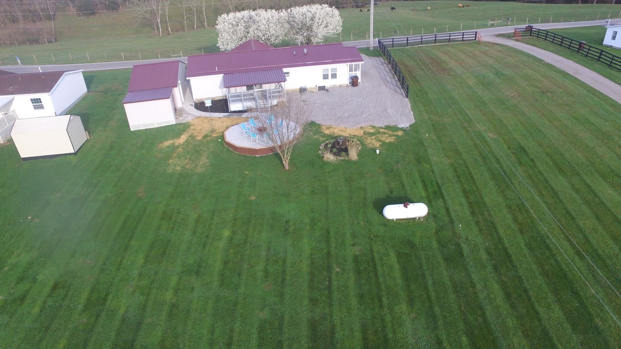 Photo of Outdoor in Berry