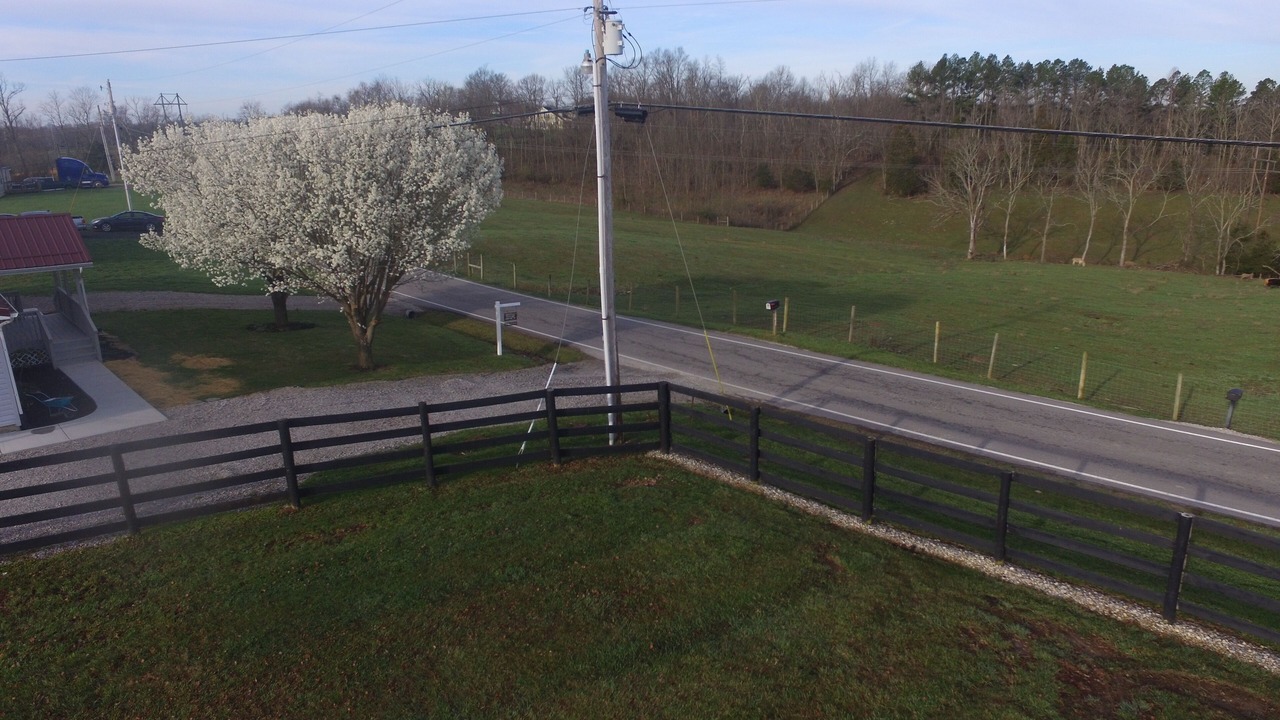 Photo of Outdoor in Berry