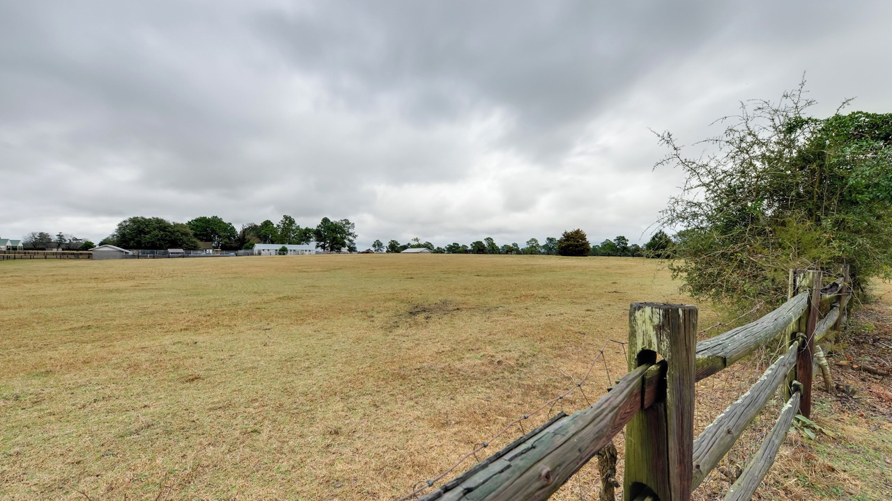 Photo of Others in Southern Pines