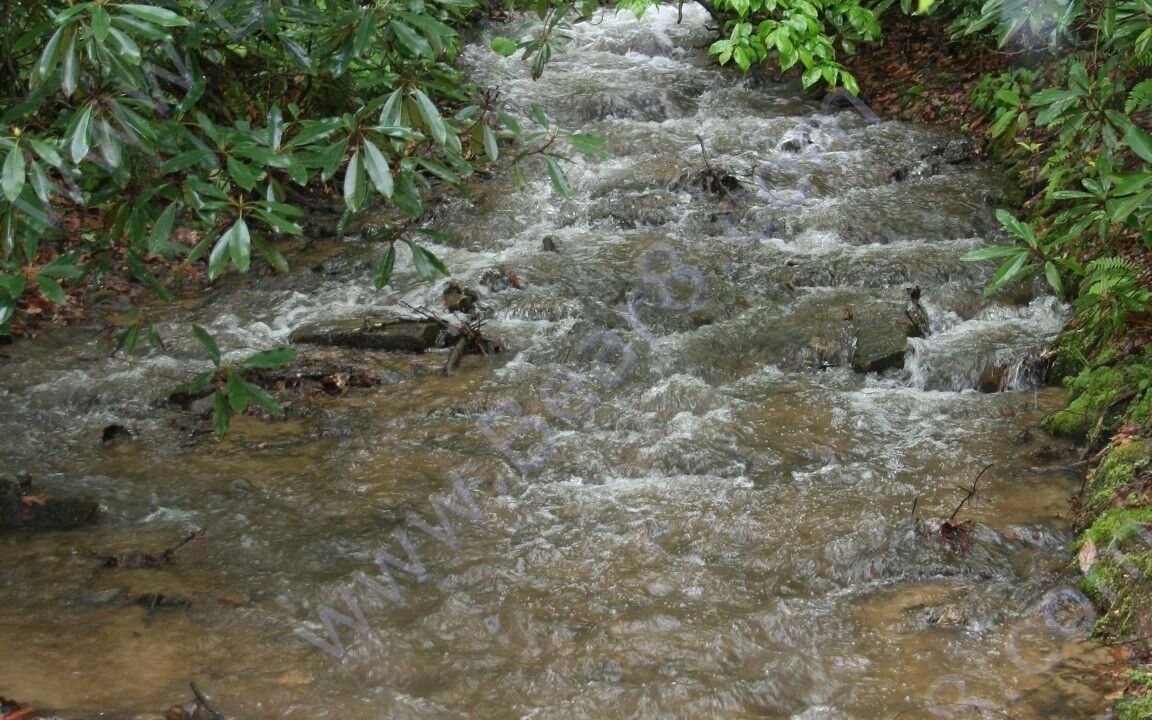 Photo of Outdoor in Penrose