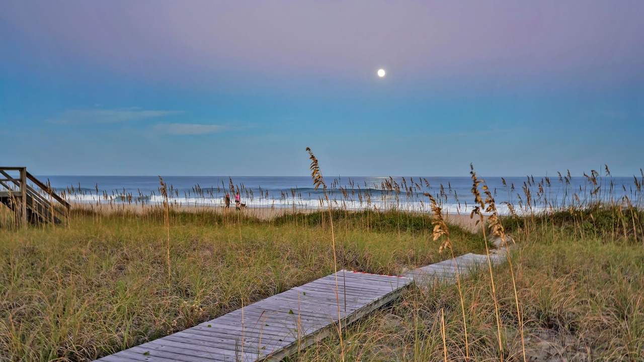 Photo of Others in Carolina Beach