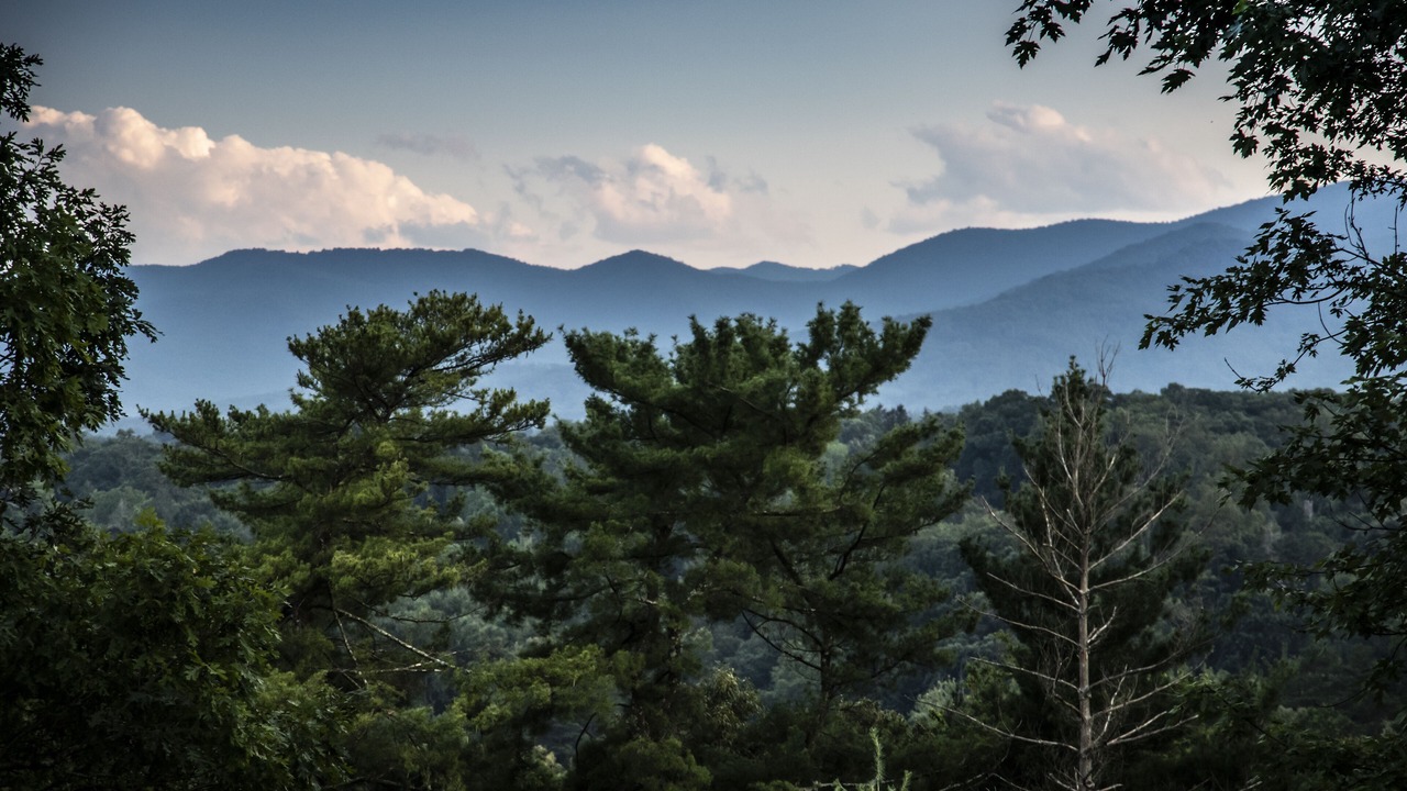 Photo of Outdoor in Grace