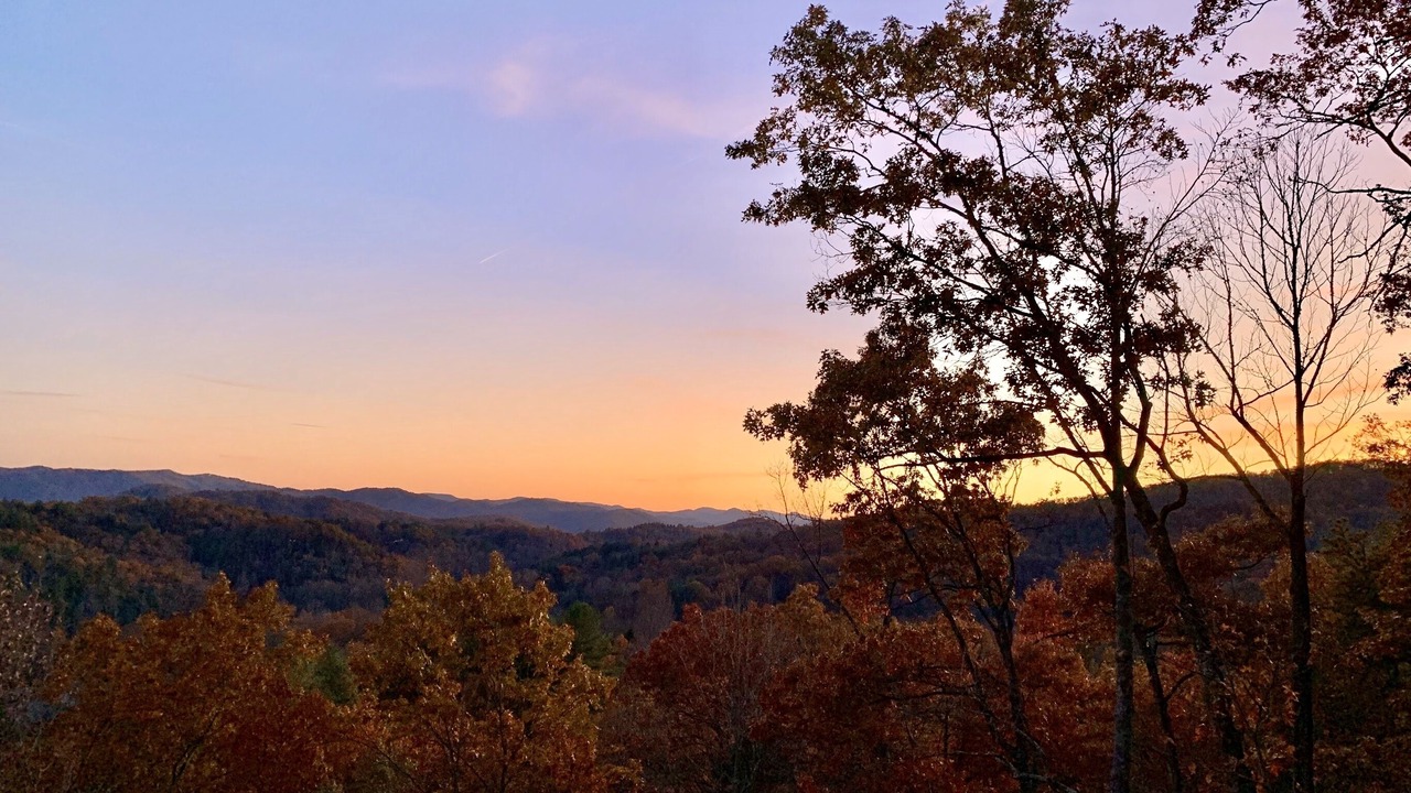Photo of Outdoor in Brevard