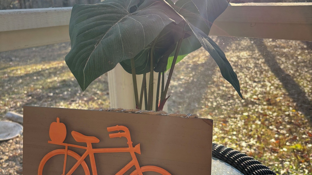 Photo of Outdoor in Spring Garden