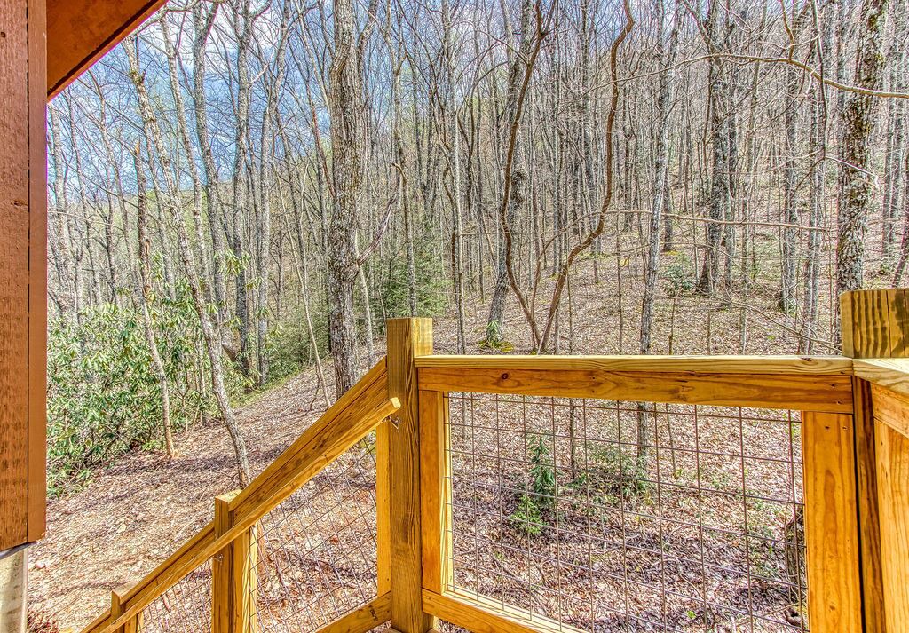 Photo of Outdoor in Smoky Mountains